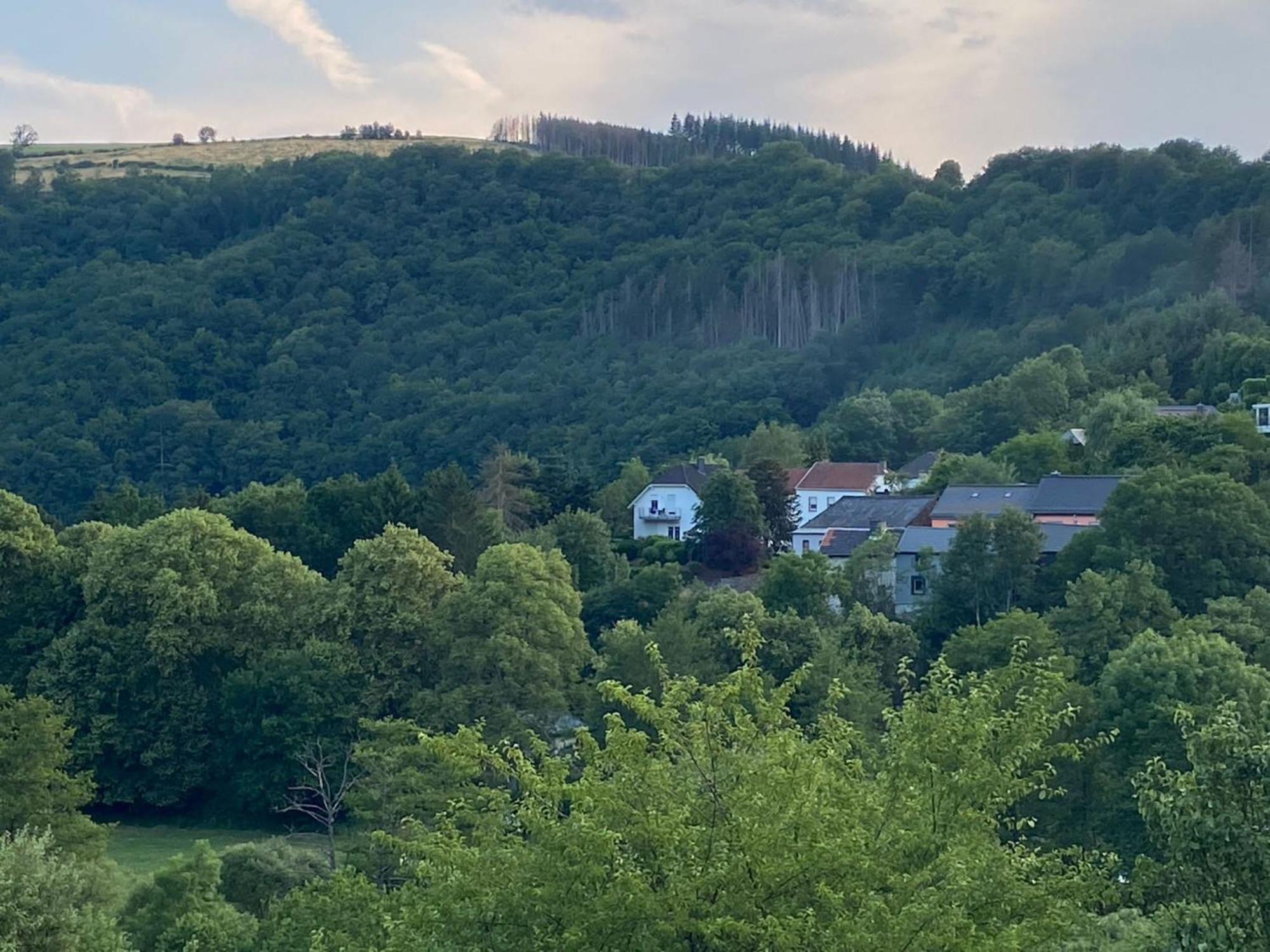 Sabine'S Gaestehaus Übereisenbach 外观 照片
